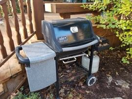 Weber grill