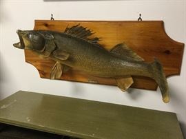 Taxidermy by Ken Hawkins. Canada.