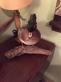 Stuffed Duck.