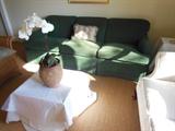 Green Baker Sofa