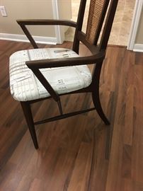 More Mid Century MOD Dining Chair
