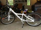 Giant MTX 225 Bike