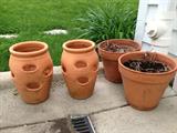 Various terra cotta pots