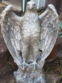 Big, heavy, beautiful Bald Eagle