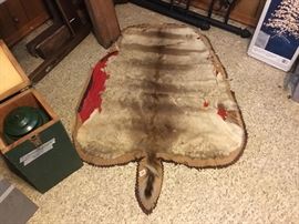 Vintage animal skin