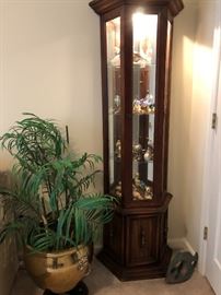 Curio Cabinet