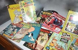 Comic Book Variety