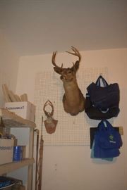 Deer Mount