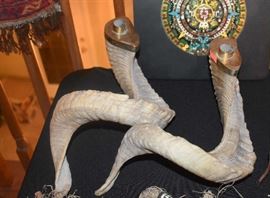 Ram Horns Candle Holders