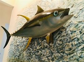 Wall fish