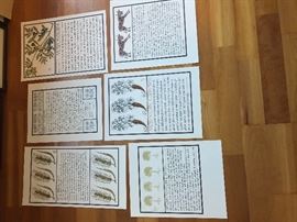 Alice Waters 1965 limited edition recipe cards