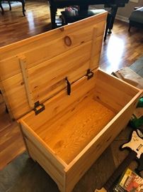 Trunk - toy chest!