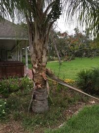 This property will be up for sale in the near future.