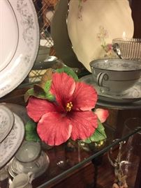 Porcelain Hibiscus, China