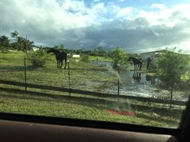 This property will be up for sale in the near future.