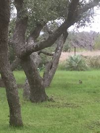 This property will be up for sale in the near future.