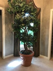 VERY LARGE "TREE"