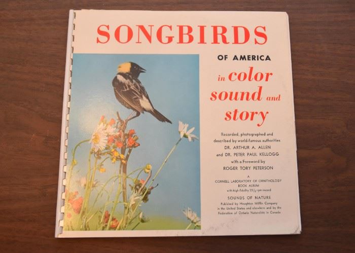 Songbirds of America