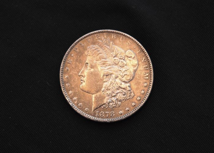 1878 Morgan Silver Dollar, Seven Feathers