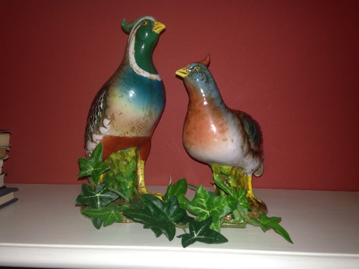 Colorful birds