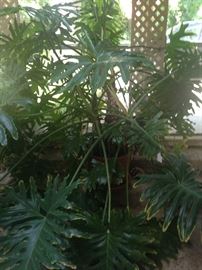 It's huge!!!