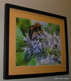 Bee photograph framed