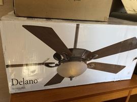 NIB Delano Fan