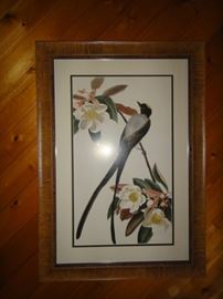 Framed Art