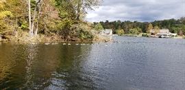 View of lake