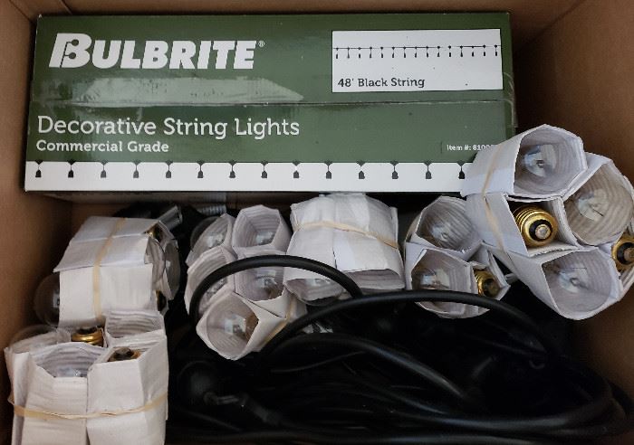 Bulbrite decorative string lights plus bulbs