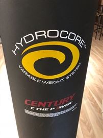 Hydrocore by Century punching/boxing/kicking bag