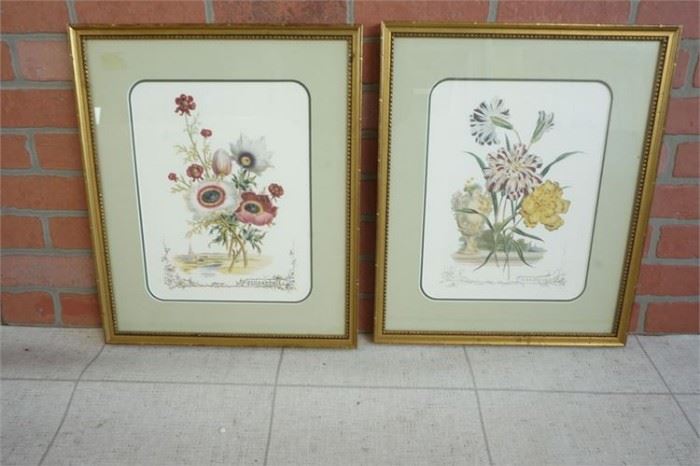 117. Pair Of Golden Framed Floral Prints