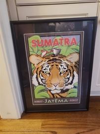 Print of Sumatran Tiger