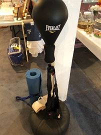 Everlast punching bag. Exercise mat.
