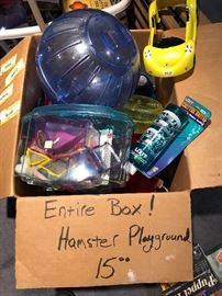 Hamster playgrounds