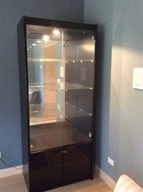 Two black and glass curio cabinet very close to the door easy to carry out .  No stairs 