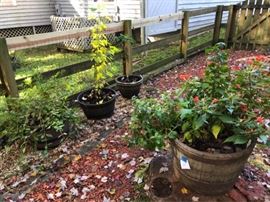 Large Outdoor Planters https://ctbids.com/#!/description/share/63696