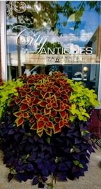 City Antiques Estate Sales