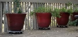 Planters