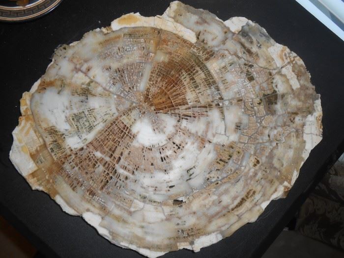 ****On the MAIN floor *****Approx. 15" round polished petrified wood