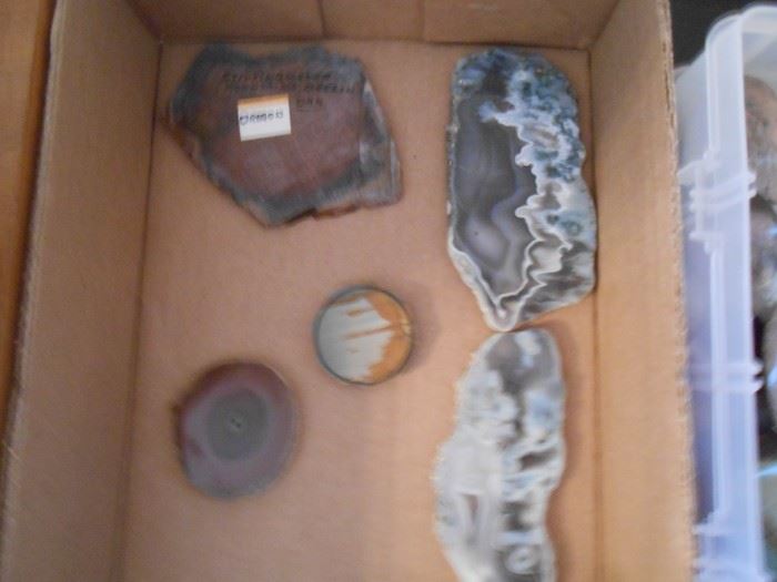 You have to see and feel the beauty of all the polished stones to note that they're made from petrified wood! Amazing!