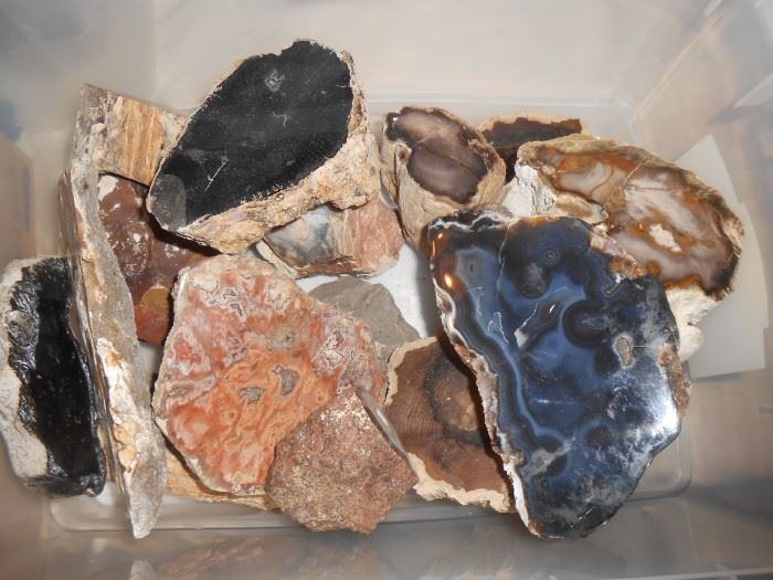 Larger pieces of polished petrified wood