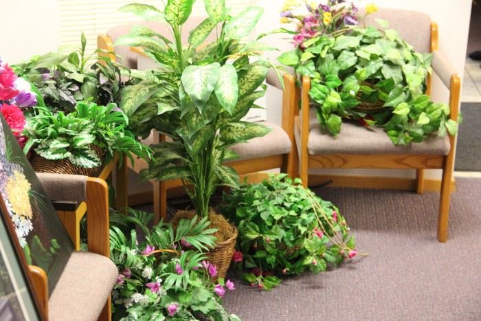 Fake plants in good condition to brighten your home or office. 