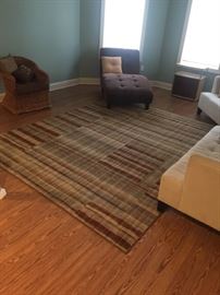 Area rug in excellent condition