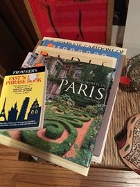 A selection of world travel books