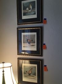 English chicken prints