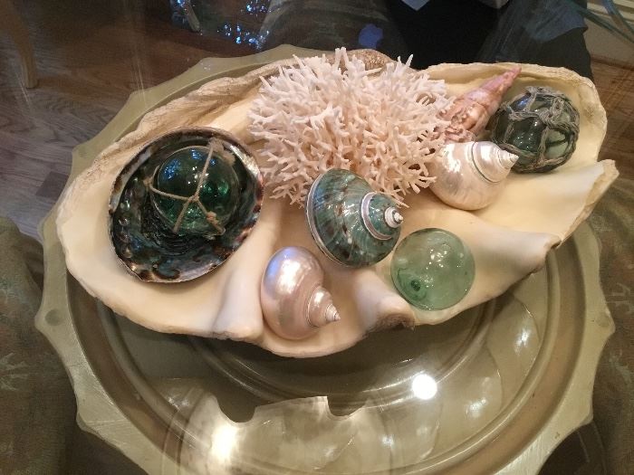 Decorative clam shell centerpiece with content 22”L