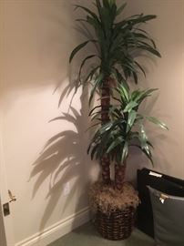 Palm tree artificial 7’