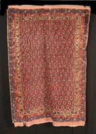 Afshar Oriental Carpet