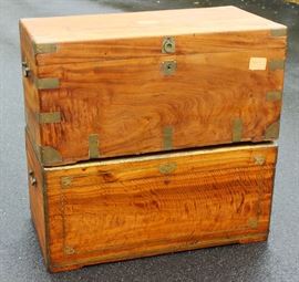Camphor wood trunks